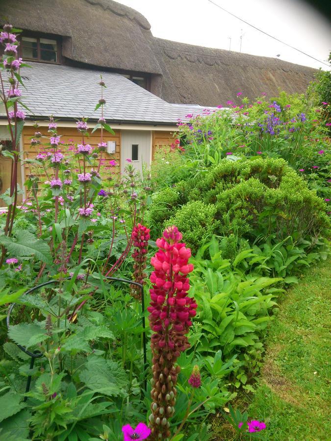 The Steppes Holiday Cottages Hereford Exterior photo